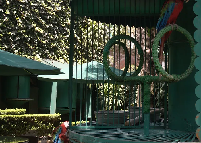Park 4* Mexico City