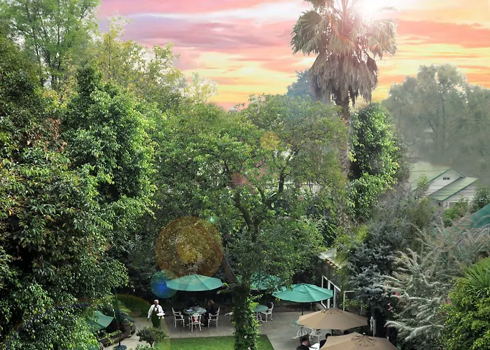 Park Mexico City